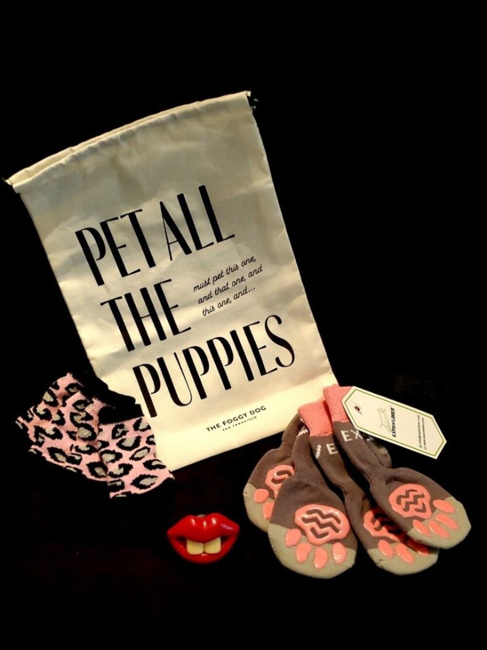 Fashionable Dog Kit in cute bag